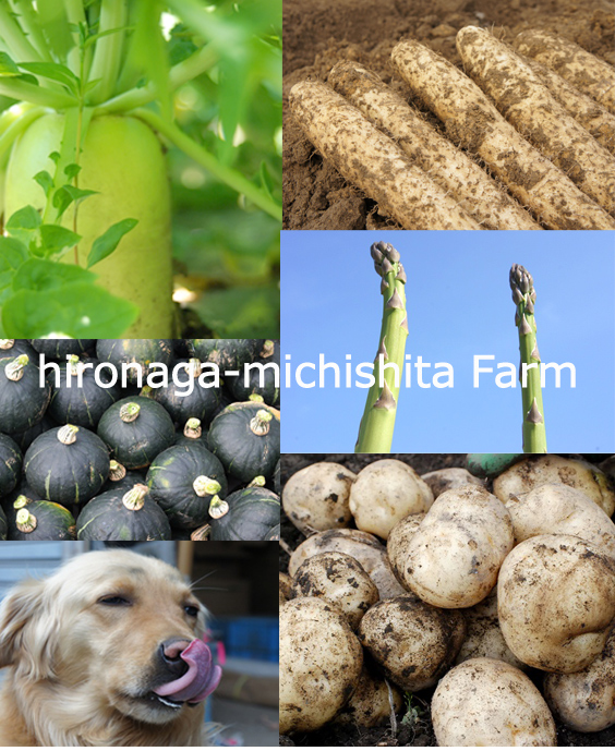 有限会社 道下広長農場